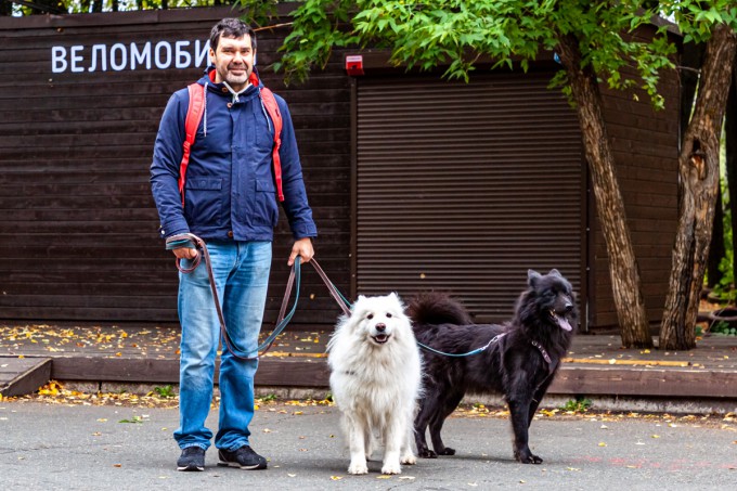 #БежимЗаПушистика : итоги забега