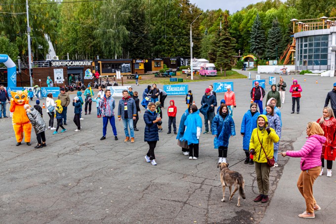 #БежимЗаПушистика : итоги забега