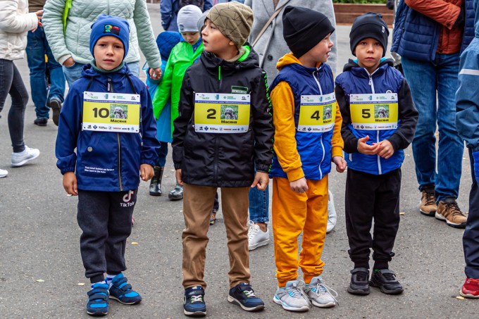 #БежимЗаПушистика : итоги забега