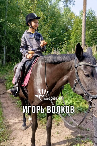 Игорь Волков