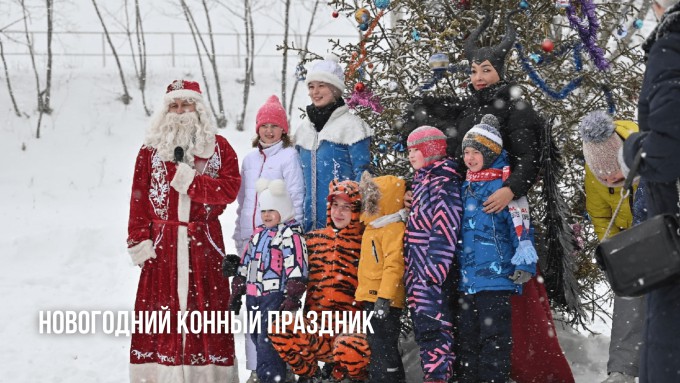 Конный праздник