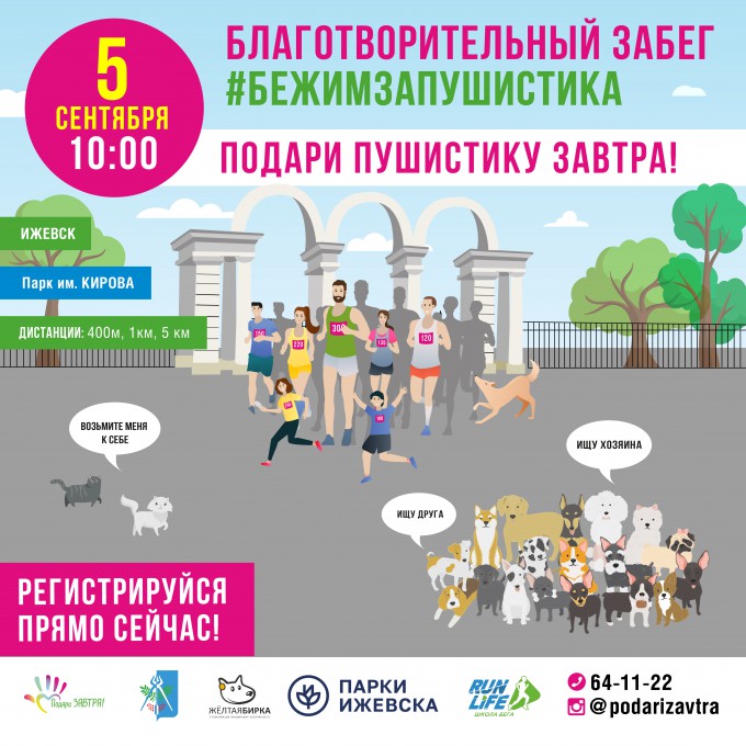 До #БежимЗаПушистика осталось 3 дня