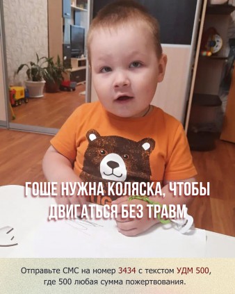 Гоше нужна коляска, чтобы двигаться без травм