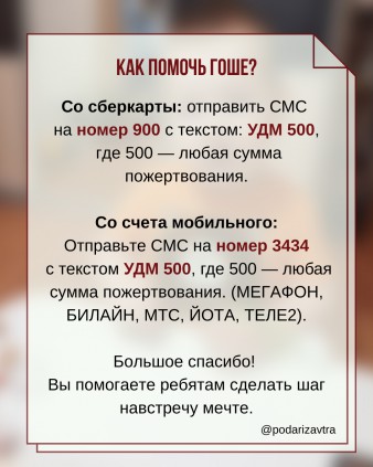 Гоше нужна коляска, чтобы двигаться без травм