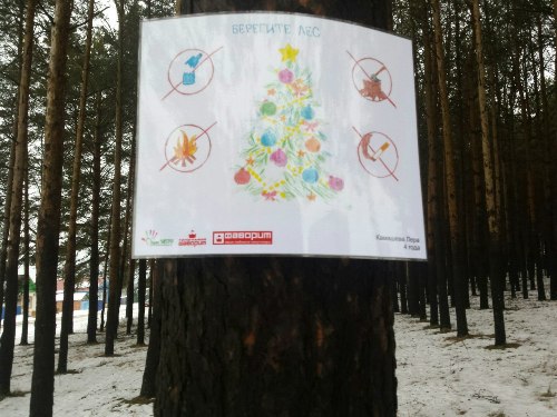 Чистый лес глазами детей