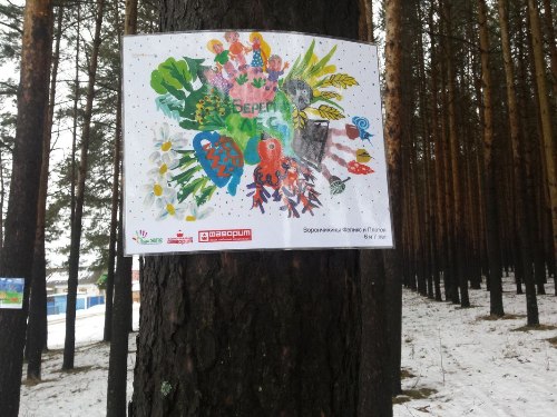 Чистый лес глазами детей