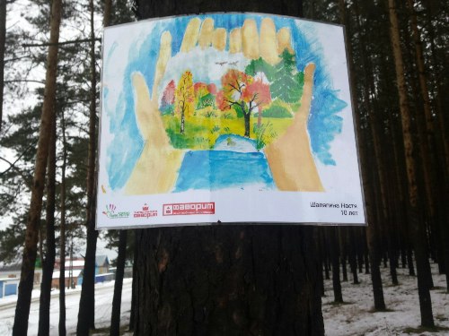 Чистый лес глазами детей