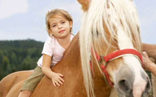 Клуб Светлое