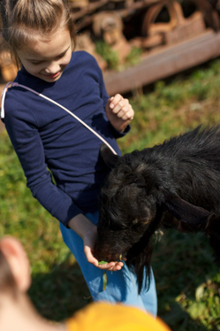 Конном клубе Светлое
