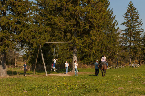 Конном клубе Светлое