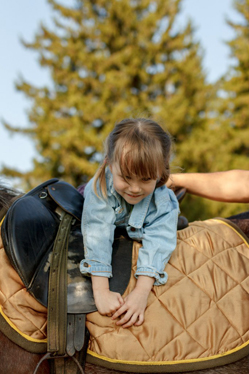 Конном клубе Светлое