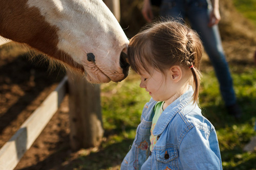 Конном клубе Светлое