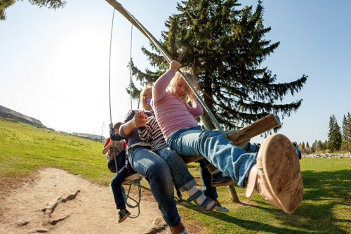 Конном клубе Светлое