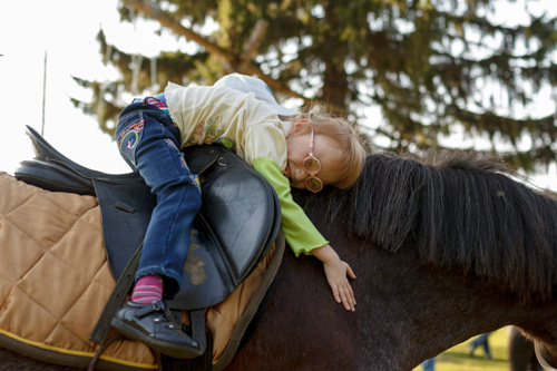 Конном клубе Светлое