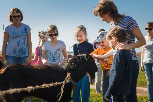 Конном клубе Светлое