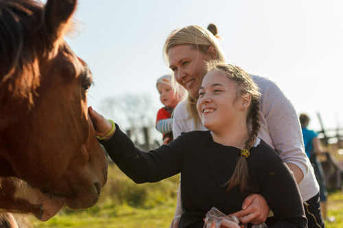 Конном клубе Светлое