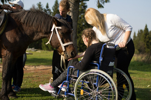 Конном клубе Светлое