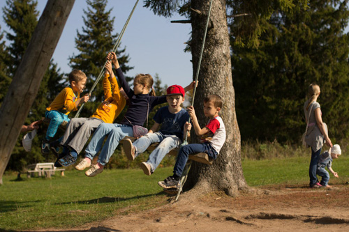 Конном клубе Светлое