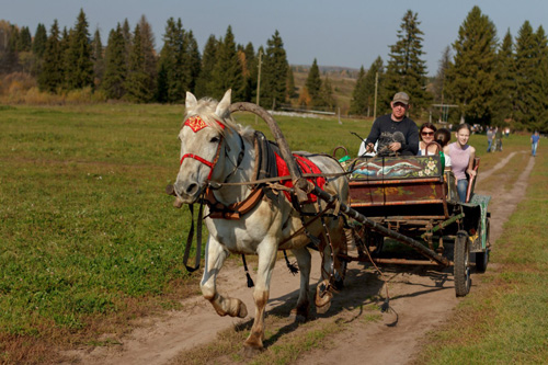 Конном клубе Светлое