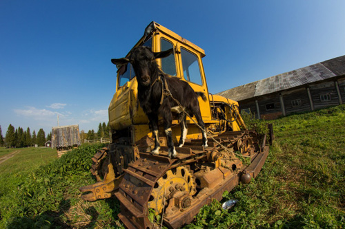 Конном клубе Светлое