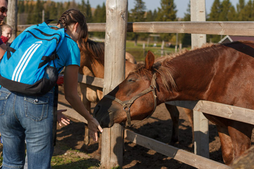 Конном клубе Светлое