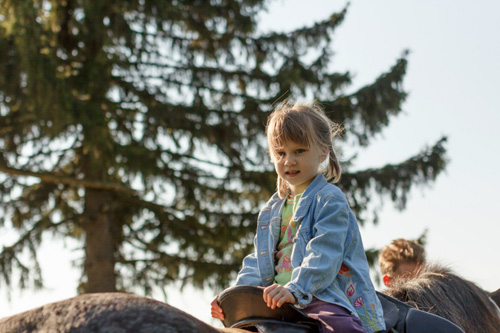 Конном клубе Светлое