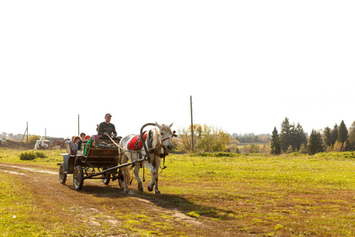Конном клубе Светлое