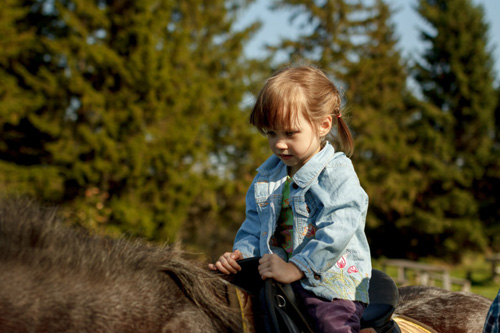 Конном клубе Светлое