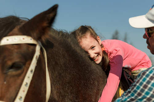 Конном клубе Светлое