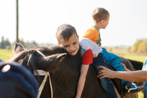 Конном клубе Светлое
