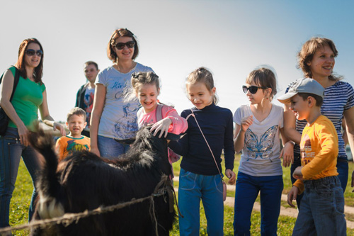 Конном клубе Светлое