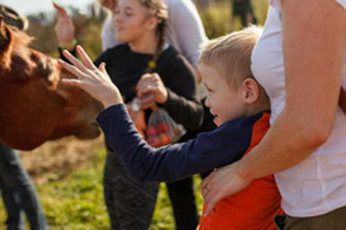 Конном клубе Светлое