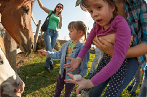 Конном клубе Светлое
