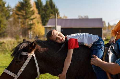 Конном клубе Светлое