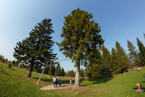 Конном клубе Светлое