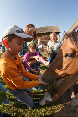 Конном клубе Светлое