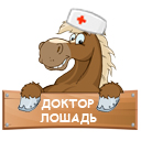 Доктор-Лошадь